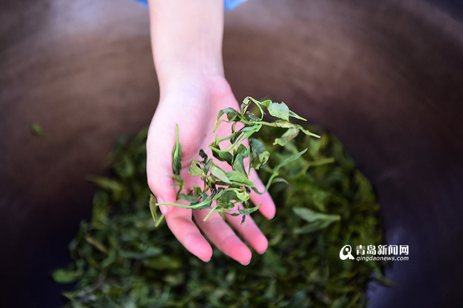 【新青年】90后茶葉掌門(mén):籌百萬(wàn)建茶文化空間