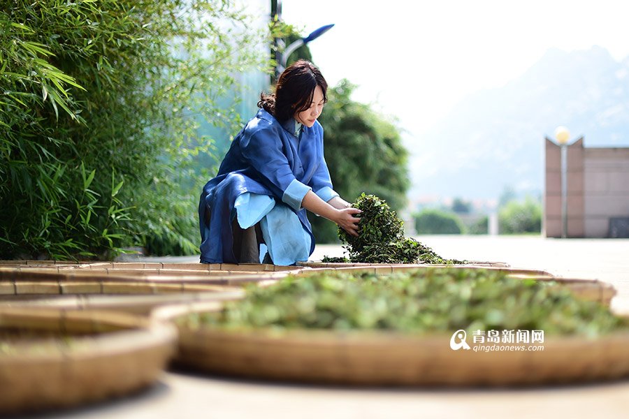 【新青年】90后茶葉掌門(mén):籌百萬(wàn)建茶文化空間