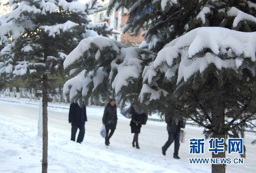 哈爾濱、大慶降下今年入冬以來第一場雪
