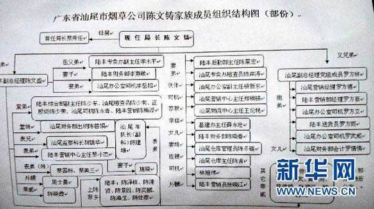 圖為廣東省汕尾市煙草專賣局局長陳文鑄家族成員組織結構圖（1月13日攝）。新華社記者 劉大江 攝
