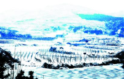 青島龍年首雪連下20小時(shí)氣勢足 49根碘化銀助增雪