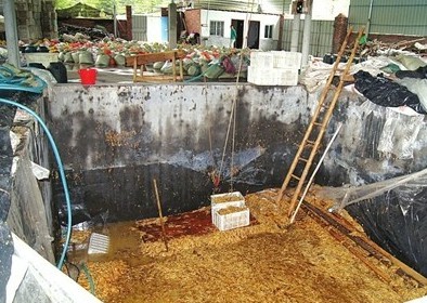 數(shù)十平方米的大池子，黑心商家用工業(yè)檸檬酸泡出35噸金針菇