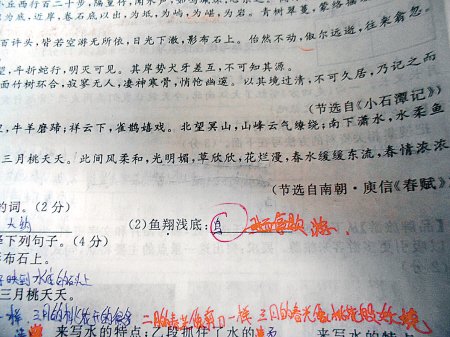 這是6月18日，網(wǎng)友“啃梨掉顆牙”發(fā)在網(wǎng)上的試卷照片。