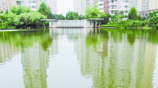青島排水系統(tǒng)經住暴雨考驗 揭秘如何留住雨水