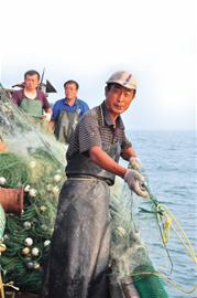 開海首日海鮮價(jià)格不高