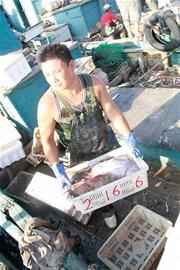 開海首日海鮮價(jià)格不高