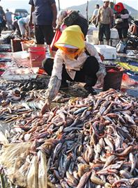 開海首日海鮮價(jià)格不高