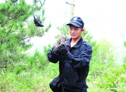 森林管護(hù)隊(duì)長(zhǎng)：鳥網(wǎng)救下千只鳥 摔下山頭盔救命