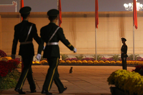 喵星人偶遇天安門(mén)廣場(chǎng)武警 四目相接照走紅