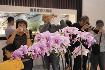 青島市民臺(tái)博會(huì)排隊(duì)掃貨 購(gòu)百種世界唯一