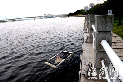 閩江公園南園沿線，閩江混雜污水，漂著垃圾，散發(fā)出腥臭。