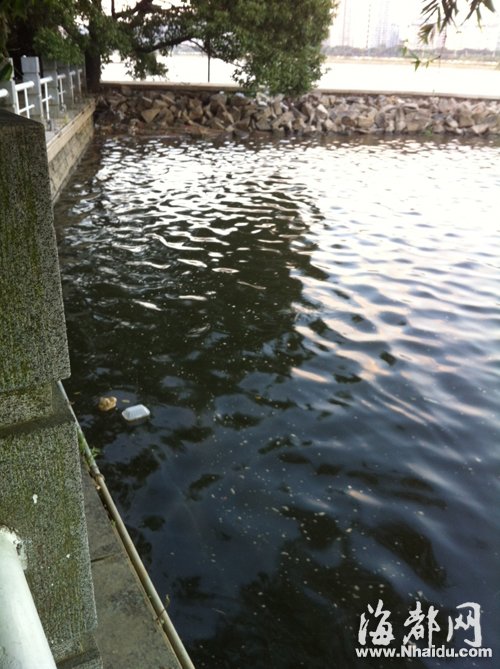 閩江公園南園沿線，閩江混雜污水，漂著垃圾，散發(fā)出腥臭。