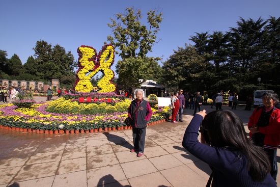 青島中山公園30萬盆菊花爭(zhēng)奇斗艷
