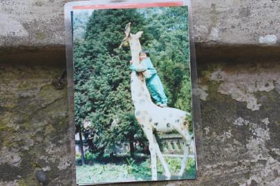 龍龍站在翠屏公園長(zhǎng)頸鹿上的照片。圖由受訪者提供