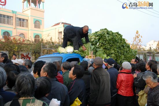 平度白菜豐收銷售遇冷:全民總動(dòng)員拯救菜賤傷農(nóng)