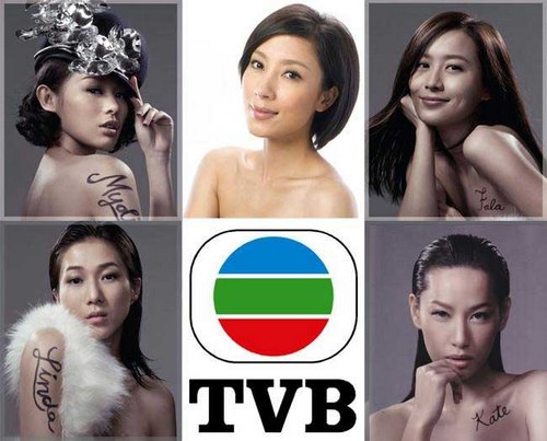 TVB新五大花旦出爐 明爭(zhēng)暗斗容貌演技大比拼(圖)