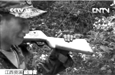 記者在資溪縣一林場看到三名盜獵者。央視截屏