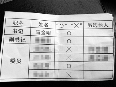 部分黨員提供的“選票”。新京報(bào)記者 劉珍妮 攝