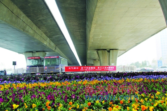 鄭州市中州大道農(nóng)業(yè)路口橋下新擺滿的花盆，旁邊是救助提示語。本版圖片均由南都記者 孫旭陽 攝