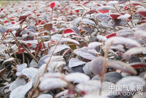 中國(guó)南方多地現(xiàn)入冬以來(lái)最低溫 局地遭霜凍冰凍