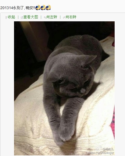 黃宗澤攜新歡游上海被拍 胡杏兒感慨：永別了！