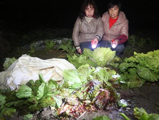 湖南發(fā)生校園慘案 校長護學生被砍死