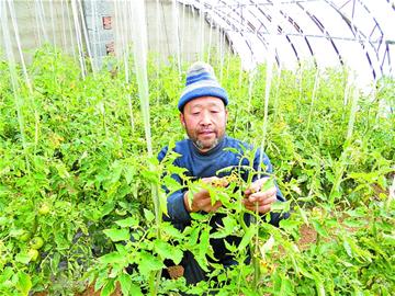 那些年，我們那樣學(xué)雷鋒
