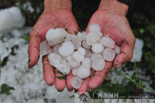 忻城縣北更鄉(xiāng)鳳凰村的村民撿起遺留的冰雹。