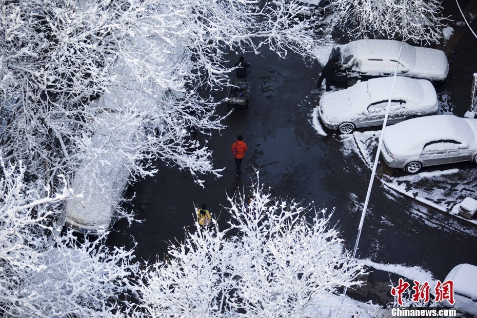 2013年3月20日早晨，降雪后的北京，全城銀裝素裹