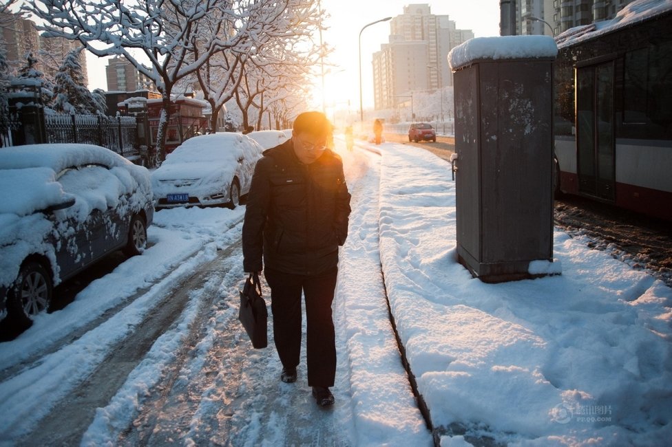 2013年3月20日早晨，降雪后的北京，全城銀裝素裹