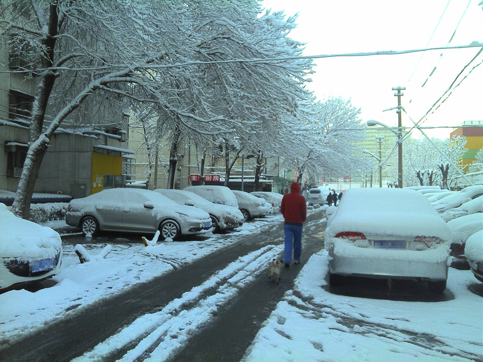 2013年3月20日早晨，降雪后的北京，全城銀裝素裹