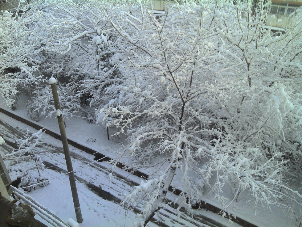 2013年3月20日早晨，降雪后的北京，全城銀裝素裹