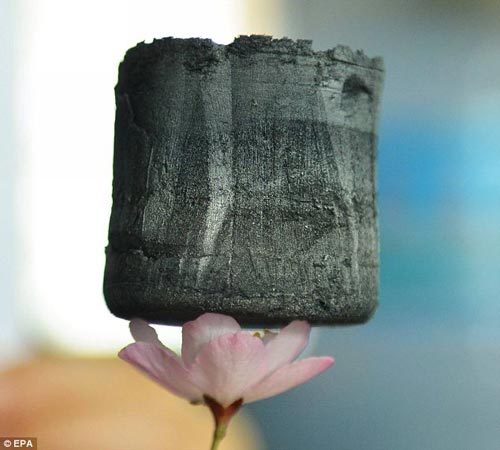 由浙江大學(xué)教授開發(fā)的石墨稀氣凝膠體，可可穩(wěn)穩(wěn)地立于一朵花的花瓣上。