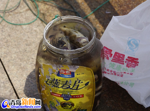 曝光浮山灣畔無德垂釣者 專釣5厘米長(zhǎng)小魚