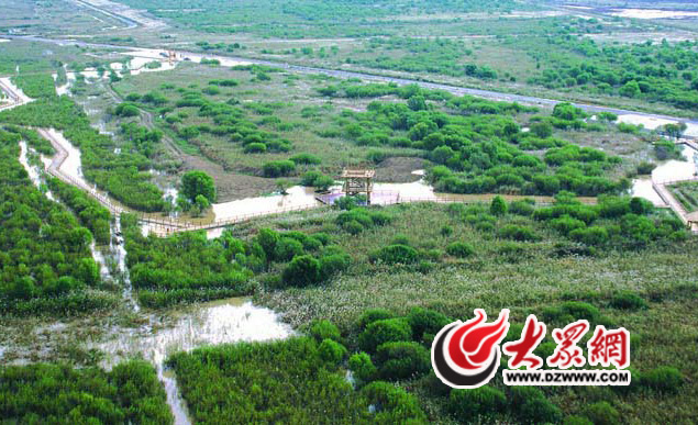 今天上午，采訪團抵達黃三角國家級自然保護區(qū)采訪報道。