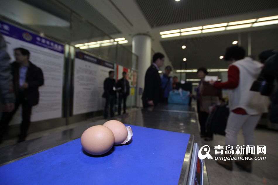 高清：實拍機(jī)場檢疫犬 輕嗅就能查出違禁物品